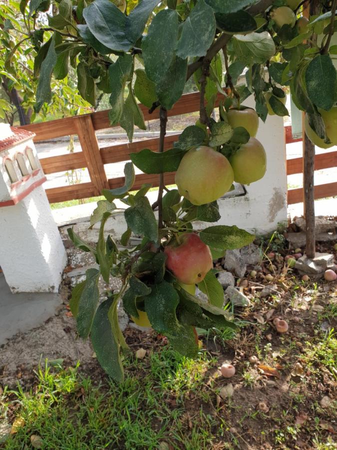 Вилла Mavridis House Eleftheroupoli Экстерьер фото