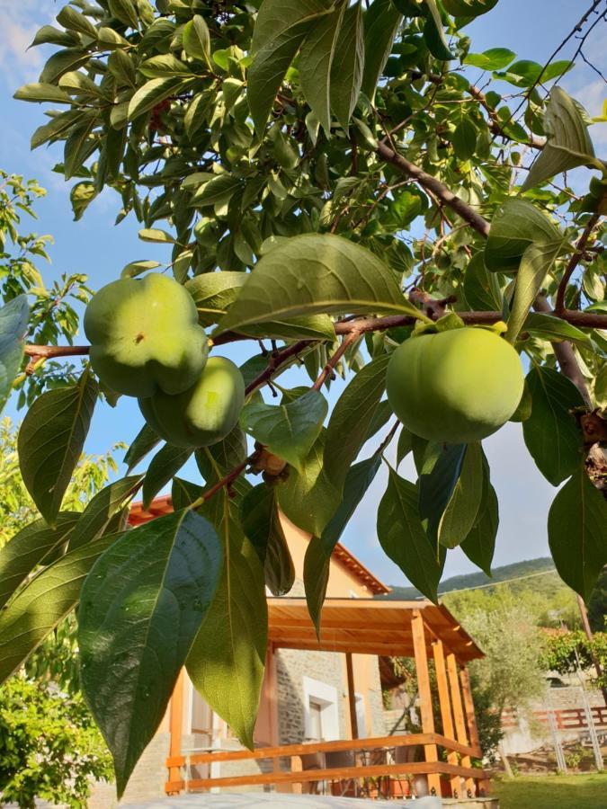 Вилла Mavridis House Eleftheroupoli Экстерьер фото